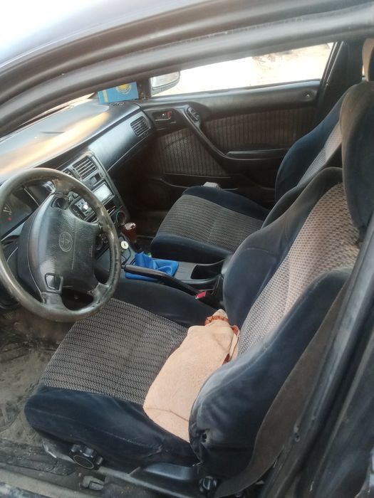 Продам Карину Е , Талдыкорган