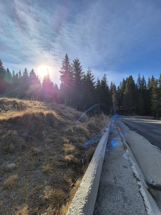 Teren Dichiu Transbucegi