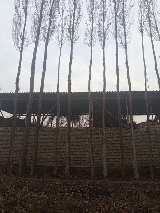 15tup terak bor sotiladi