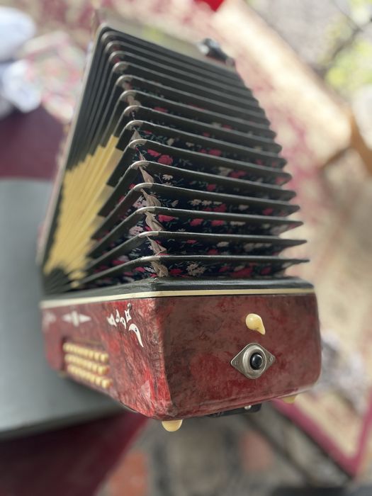 Гармошка Беларусь гармонь баян