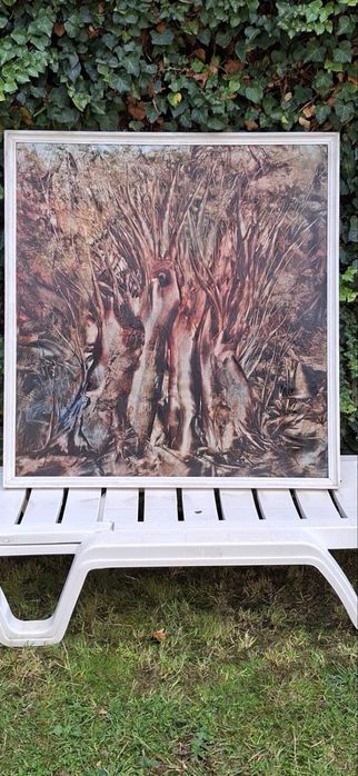 Колекция български картини