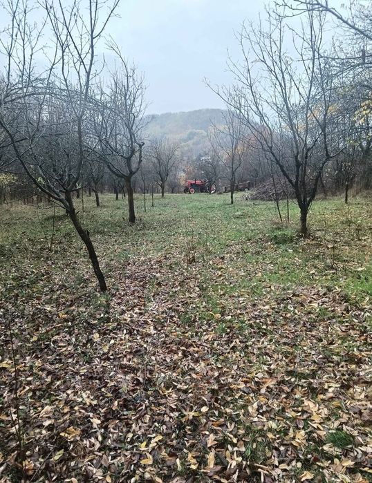 Vind teren in Vălenii de Munte