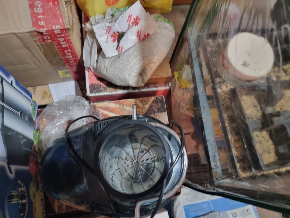 Соковыжимаока scarlett