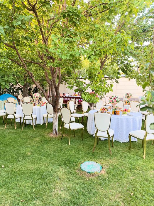 аренда стол стул пракат.  Аренда пасуда самавор. Стул навес ширма