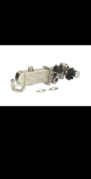 Modul-EGR Volkswagen