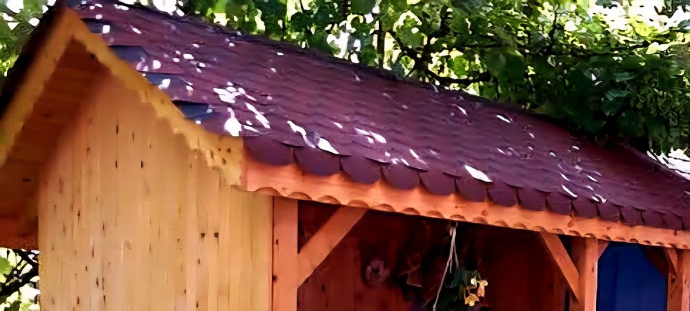 Pazie din lemn rasinoase