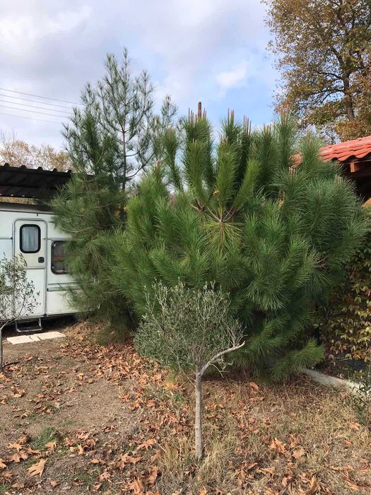 Продава се Парцел в София, в.з. Малинова долина - 300 кв.м за 104 €/кв.м - Снимка #5