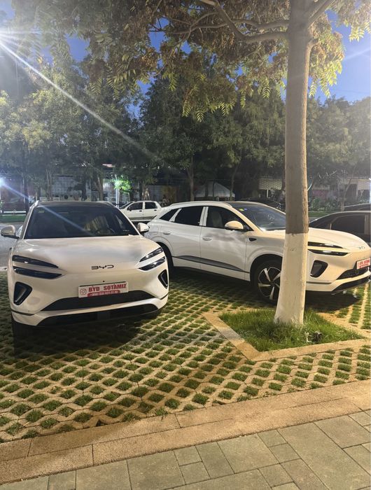 Sealion 06 Pilot plus 605 ev Byd