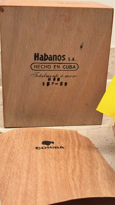 Cohiba  Robustos Cuba