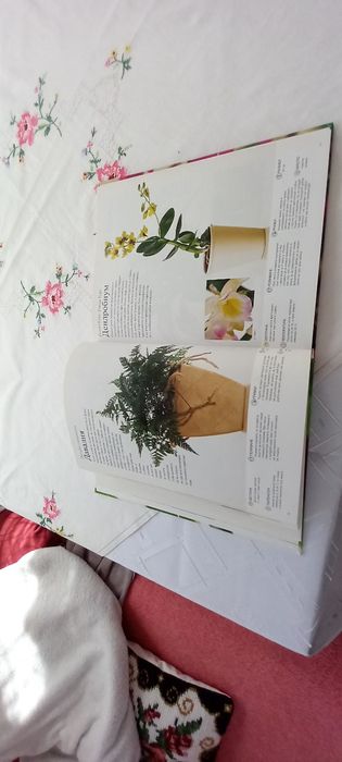 Стайни растения-книга
