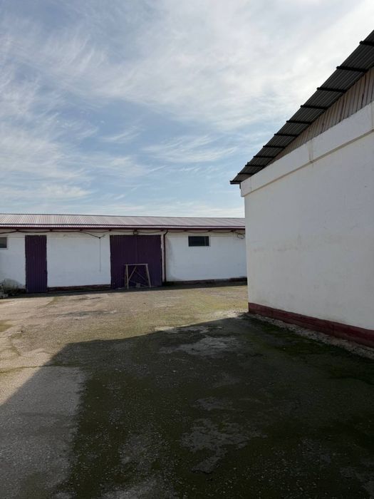 Аренда помещений и земли под производство или склад