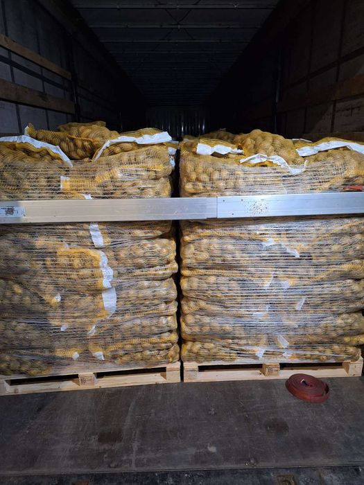 Продвам каротфи на едро - сортове Сорая и Гала, 5,10,15 кг, цена с ДДС