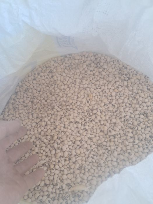 Loviya sotiladigan.500kg