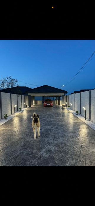 Propietar Vand Casa