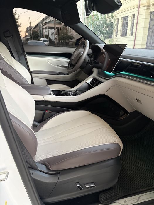 BYD champion smart 605