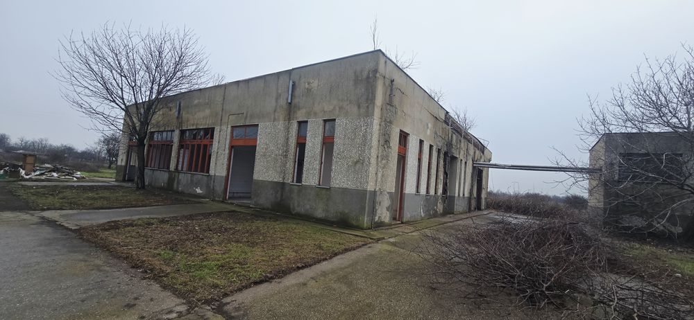 Hala cu teren de 10000mp intravilan