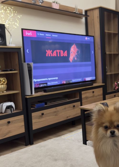 Телевизор Sony BRAVIA