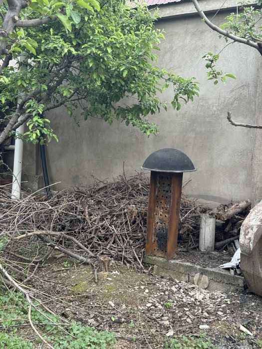 Уголь и дрова отдам бесплатно