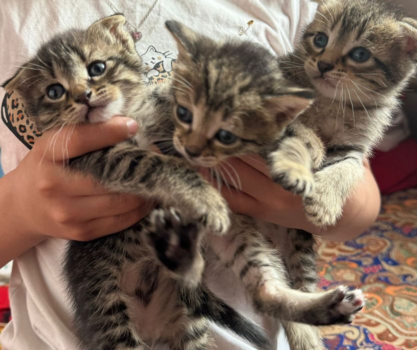 Марғаулар бар, заречный 1де