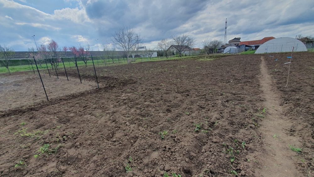 Casa P+M ,teren 2023mp Str Constitutiei  190,langa A1