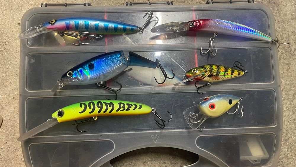 Rapala,salmo,yo zuri Воблери и силикони