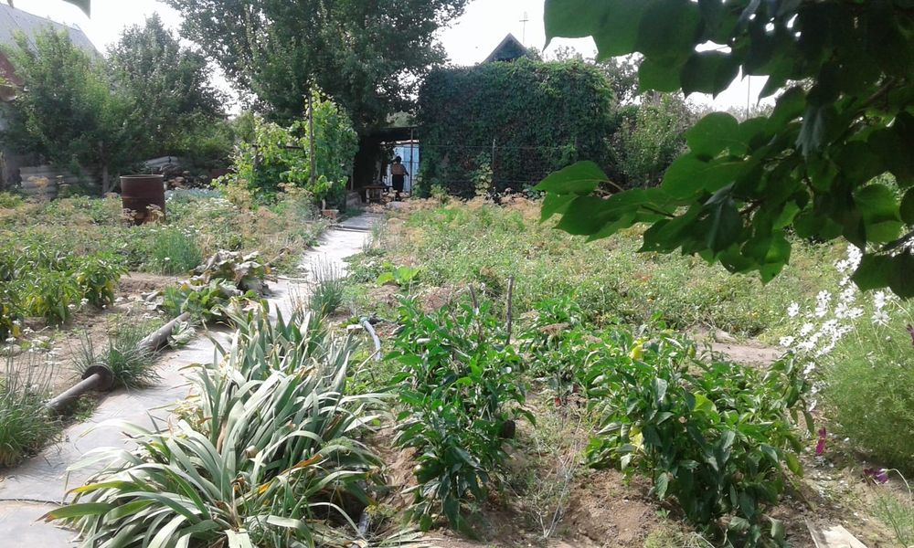 Продам дачу" Здравница '