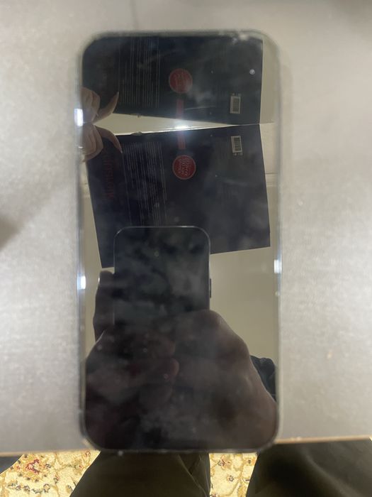 Iphone 13 pro max 256g