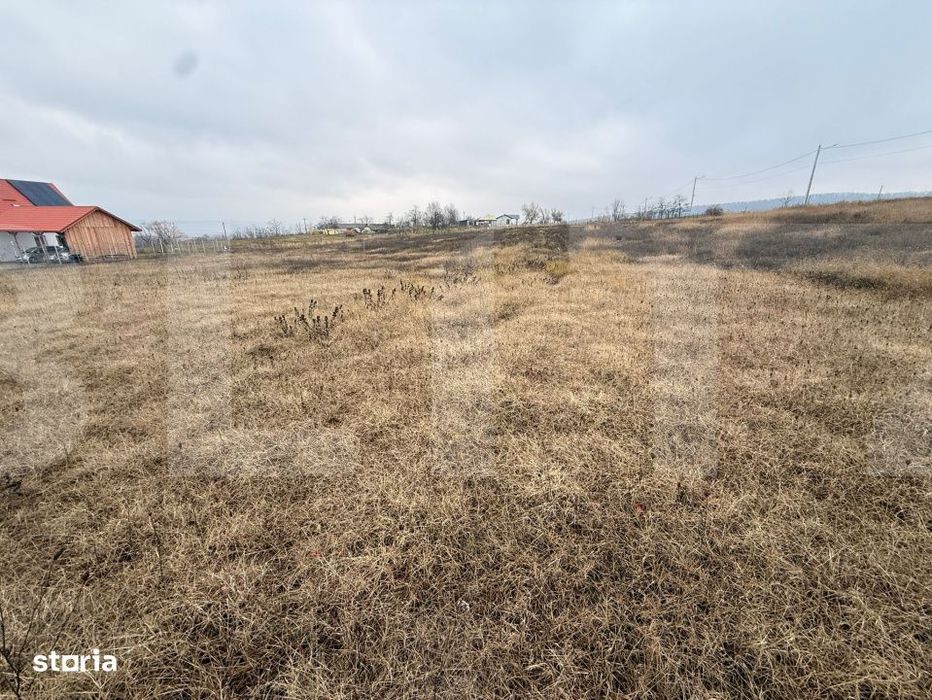 Teren intravilan de vanzare, 1250 mp - Ipotesti