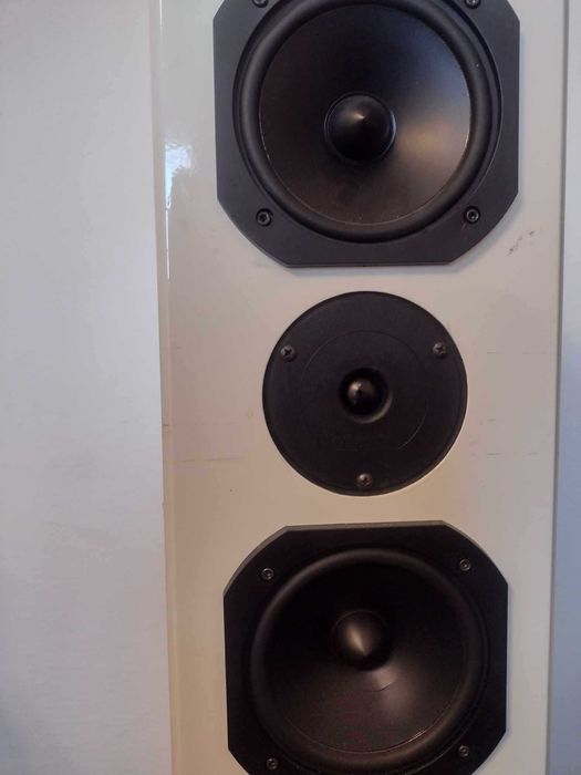 Boxe Dyna Voice Challenger M-65