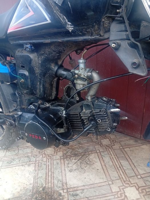 Альфа чамп 110сс