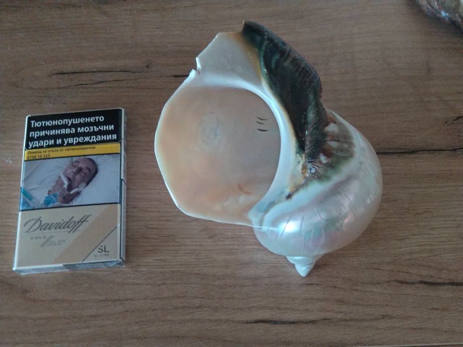 Продавам седефени рапани с ръчна резба върху тях