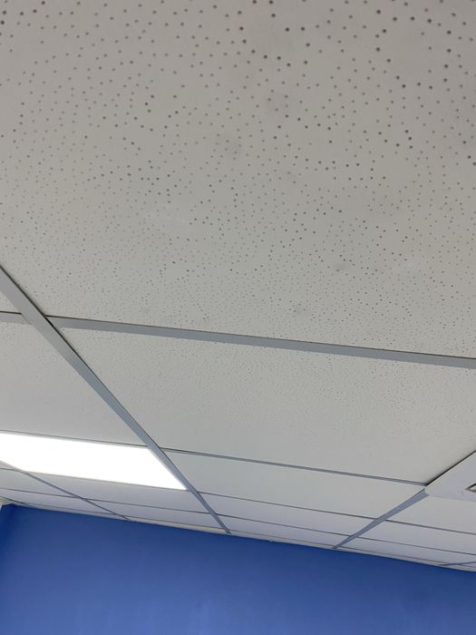 Electrician,montez prize,becuri,lustre,aplice,tv