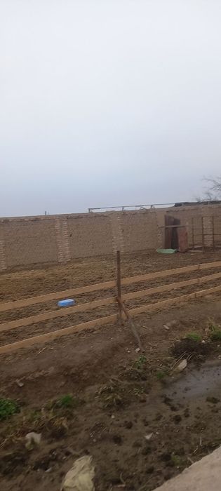 Продаётся ферма , Чирчик , электр, газ есть