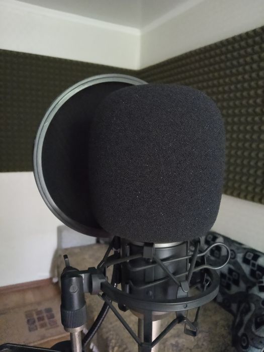 Студия звукозаписи / Запись голоса