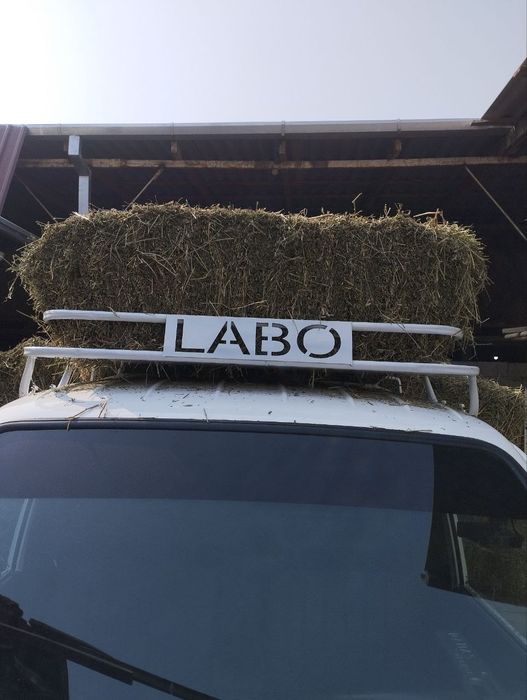 Беда Сотилади Фаргона