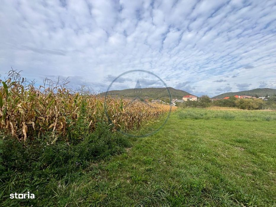 Teren Intravilan De Vanzare – 2.500 Mp – La 15 Km De Bistrița