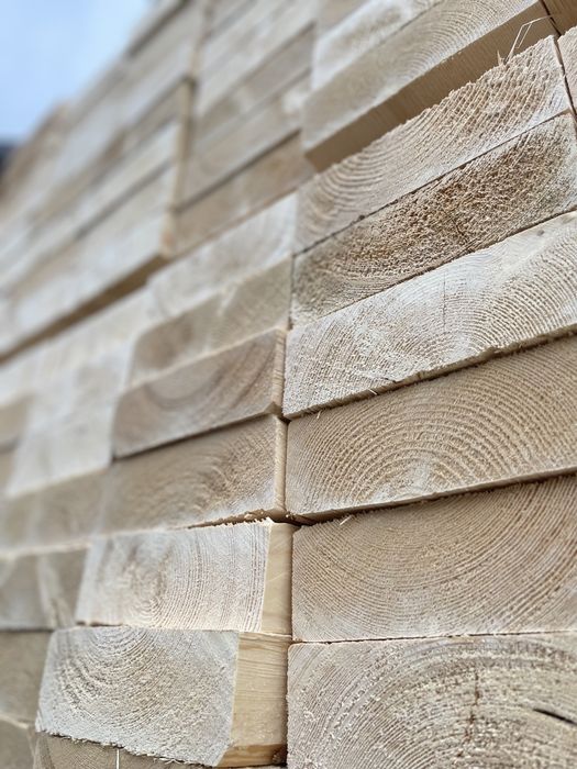 Taxta quruq | Sosna | El' | Reyka Optom