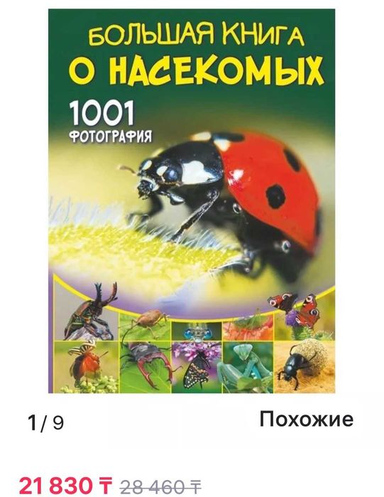 Книга про насекомых