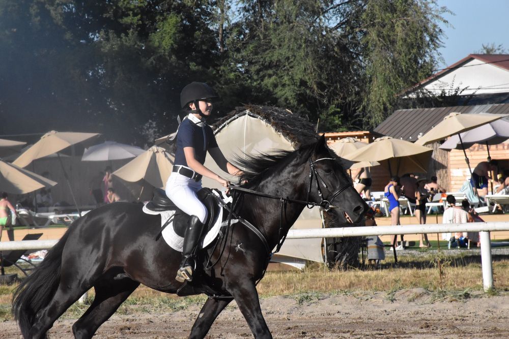 сапоги для конного спорта