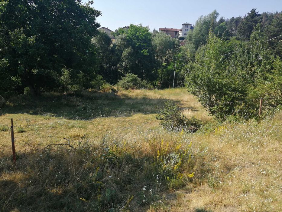 Продава се Земеделски имот в Велинград -  кв.м за 20400 €/дка - Снимка #3