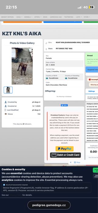 Продаеться рр пит сука 1.2 мес