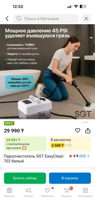 Пароочиститель. SGT EasyClean 702 белый