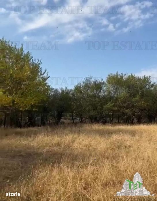 Teren intravilan multifunctiunal de inchiriat, ORICE ACTIVITATE!!
