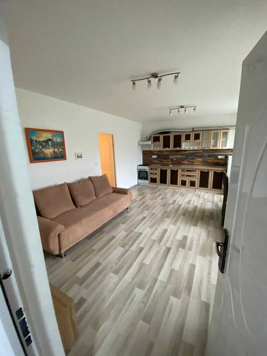 Proprietar, dau in chirie