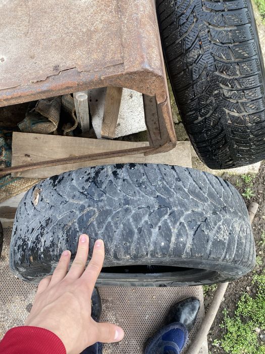 Пакришка зор 1 ай болды