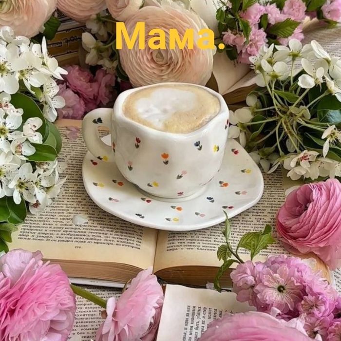 Бакал наборлар..