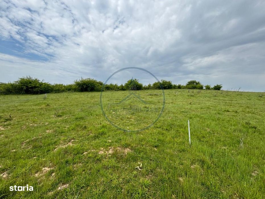 Teren intravilan 500mp, Alea Trifoiului