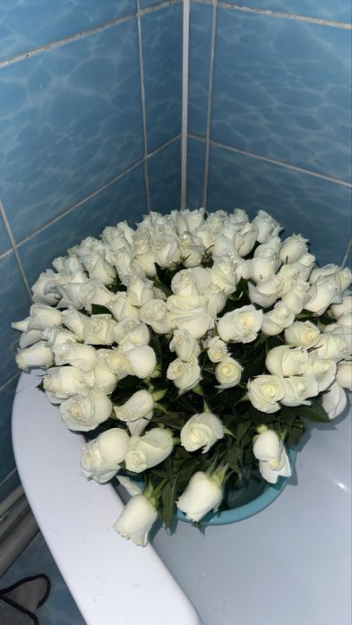 цветы 101 роза белая