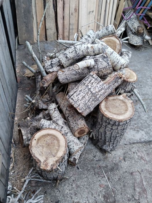 Отдам даром пеньки тополя.