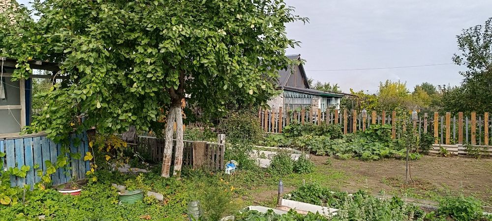 Продам дачный участок с домиком